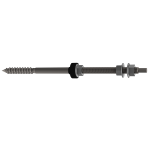 Dwugwint M10